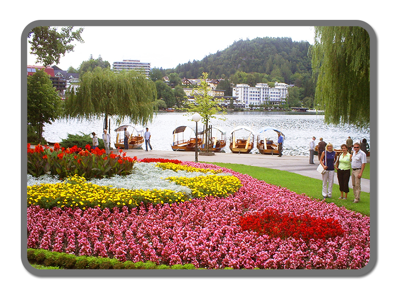 Urejanje cvetličnih gredic na javnih zelenih površinah na Bledu