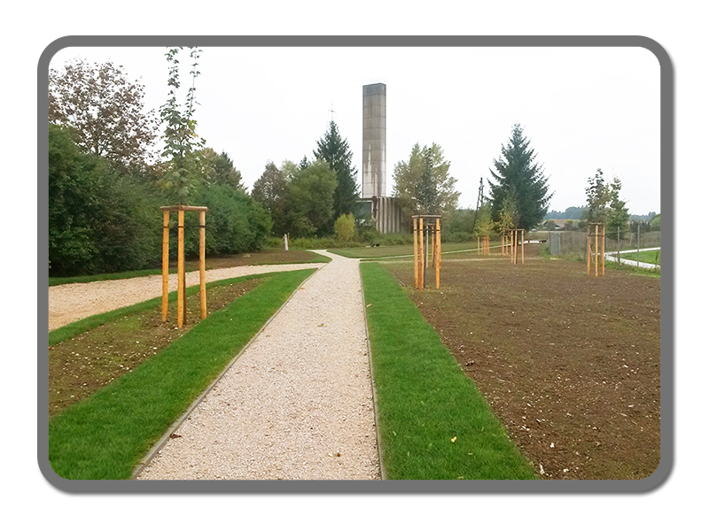 Zasaditev drevja in ureditev zelenice Park miru, Kranj